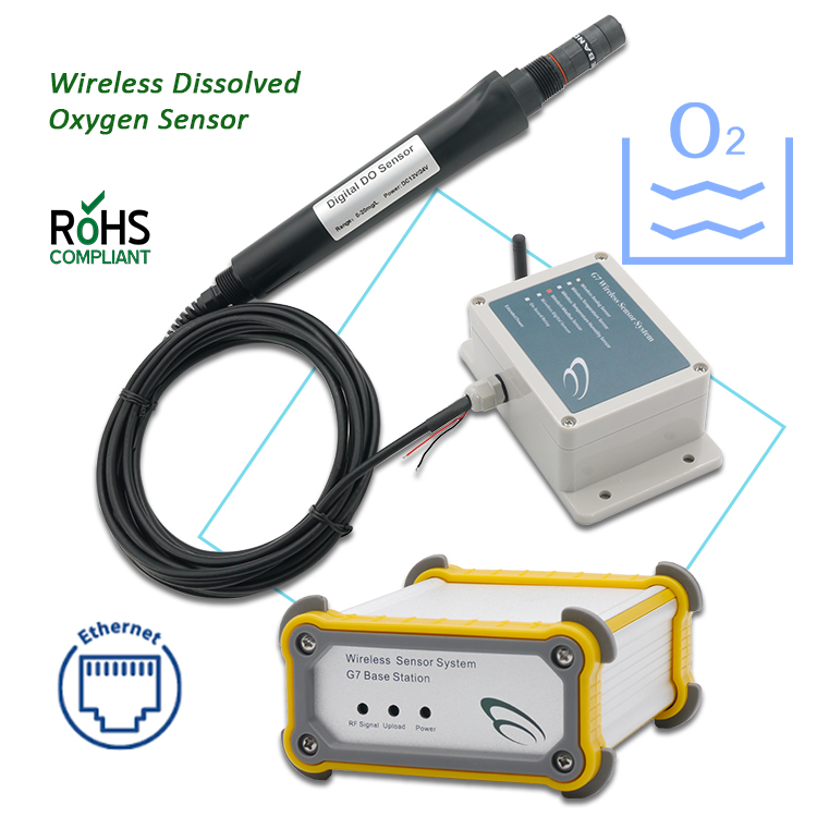 Do Oxygen Meter - YENİ Gerçek Zamanlı İzleme Su Arıtma