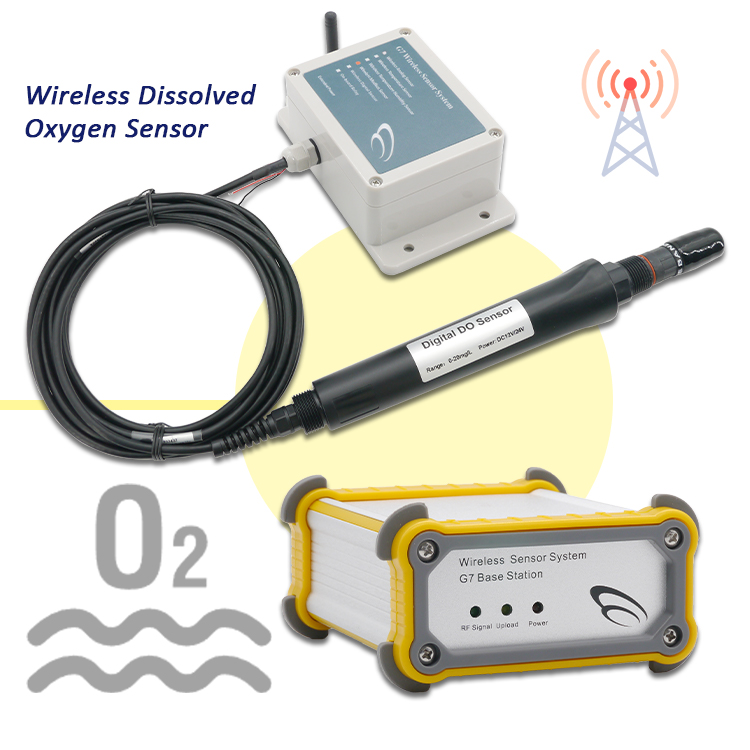 YENİ Gerçek Zamanlı İzleme Su  - Do Oxygen Meter incelemesi ve fiyatı